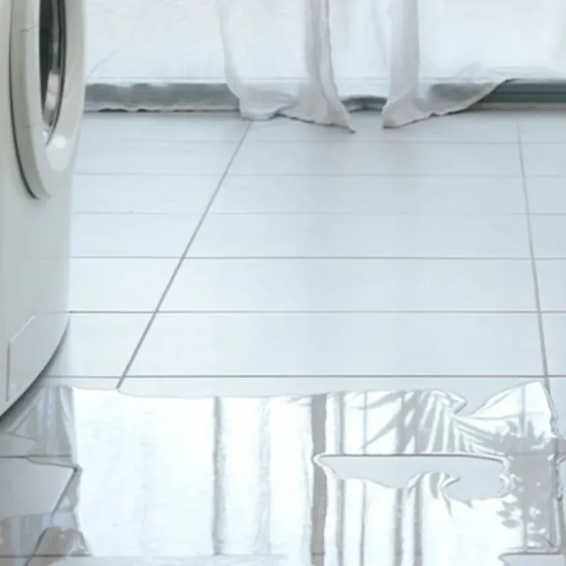 Appliance Leak Cleanup in Manchester, GA