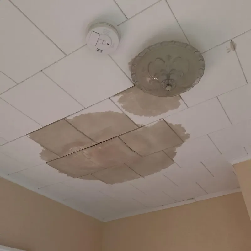 Ceiling Water Damage Repair in Manchester, GA