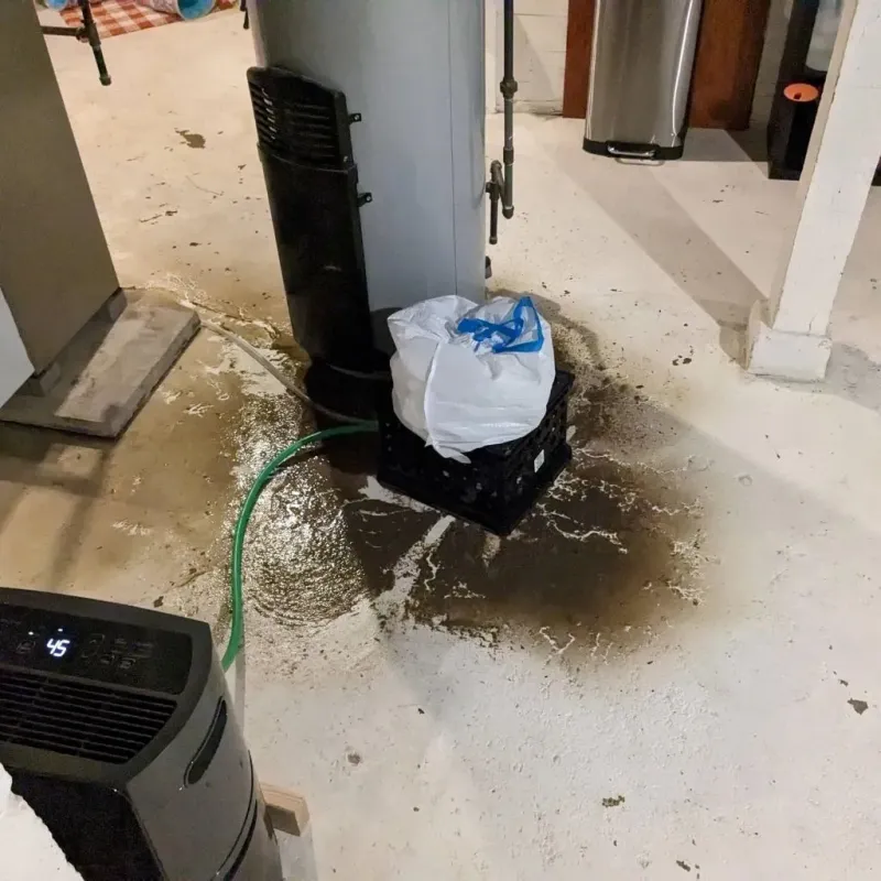 Sewage Backup Cleanup Service in Manchester, GA